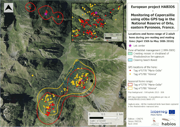 imagen_posterGPS_capercaillie_1
